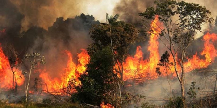 EL INFIERNO TERRESTRE