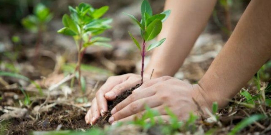 La nueva legislación y el camino que se abre hacia una pedagogía ambiental inclusiva