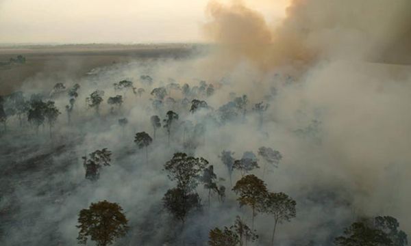 Sin arrugas, pero sin Amazonía